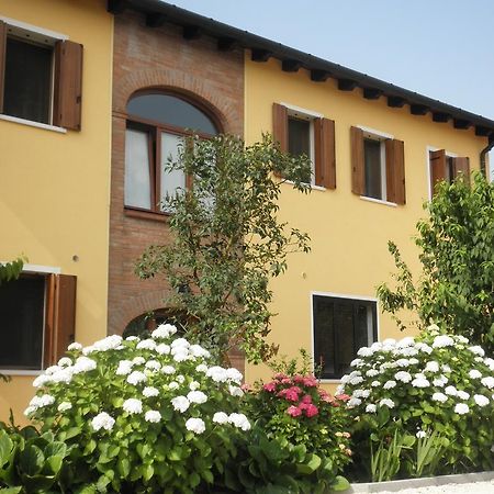 B&B Ai Ciliegi Mogliano Veneto Exterior photo