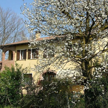 B&B Ai Ciliegi Mogliano Veneto Exterior photo
