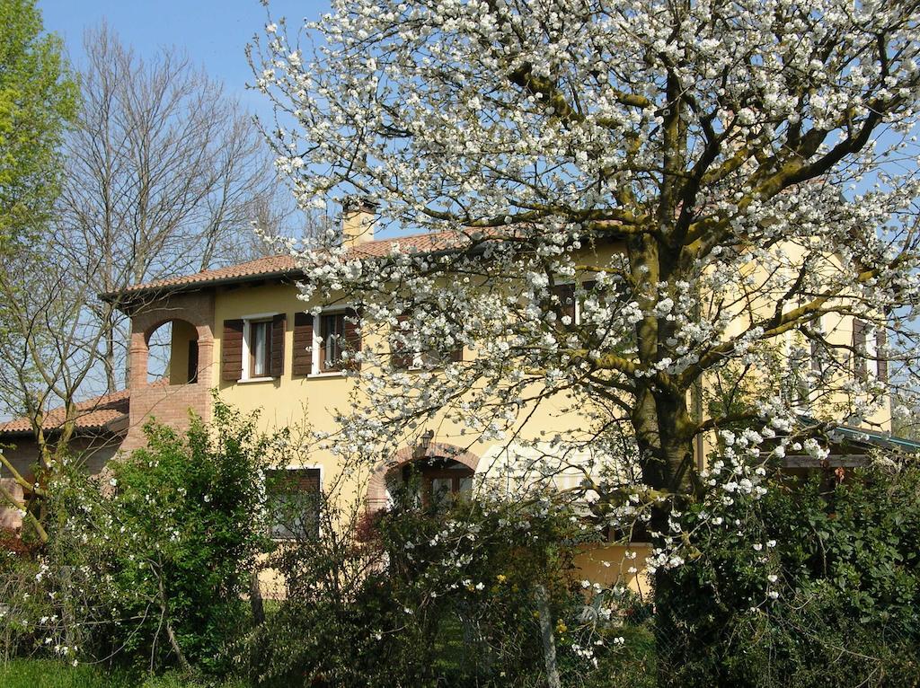 B&B Ai Ciliegi Mogliano Veneto Exterior photo